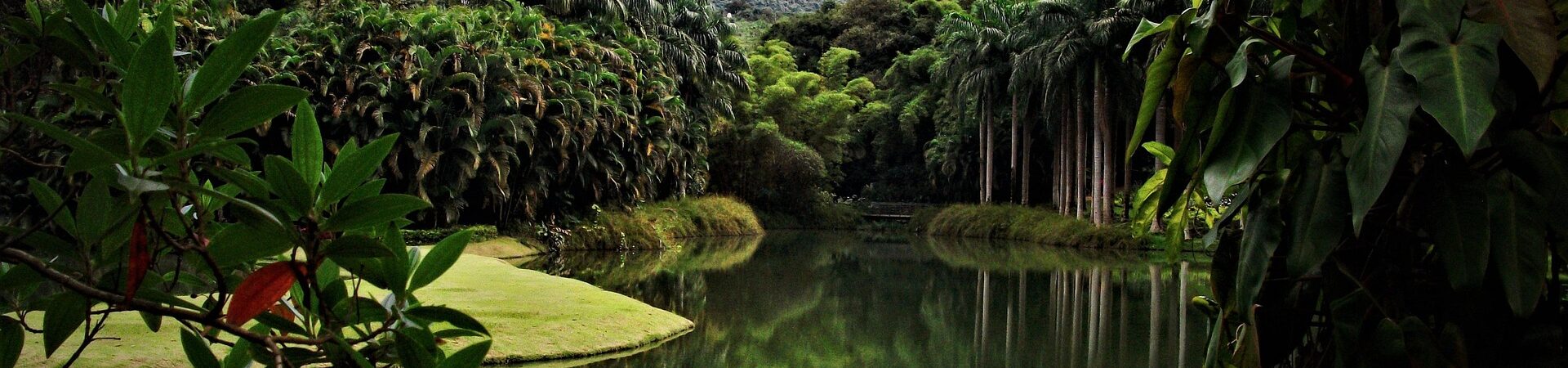 Brumadinho (MG)