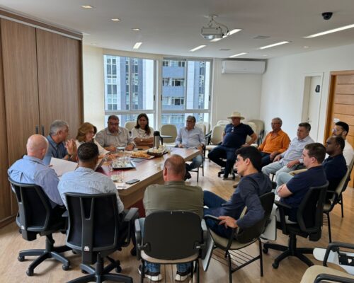 AMIG Brasil discute tributação e fiscalização da atividade minerária com representantes de Pains