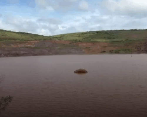 Vazamento em mina da Vale despeja volume equivalente a 88 piscinas olímpicas em rios de Ouro Preto