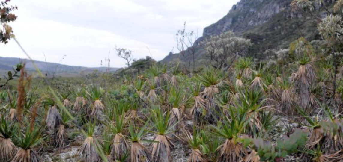 Serra do Espinhaço: professor da UFMG alerta para consequência da mineração