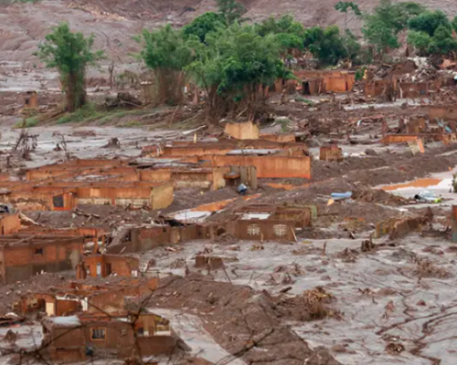 Vegetação de Mariana se adaptou para sobreviver aos rejeitos de mineração
