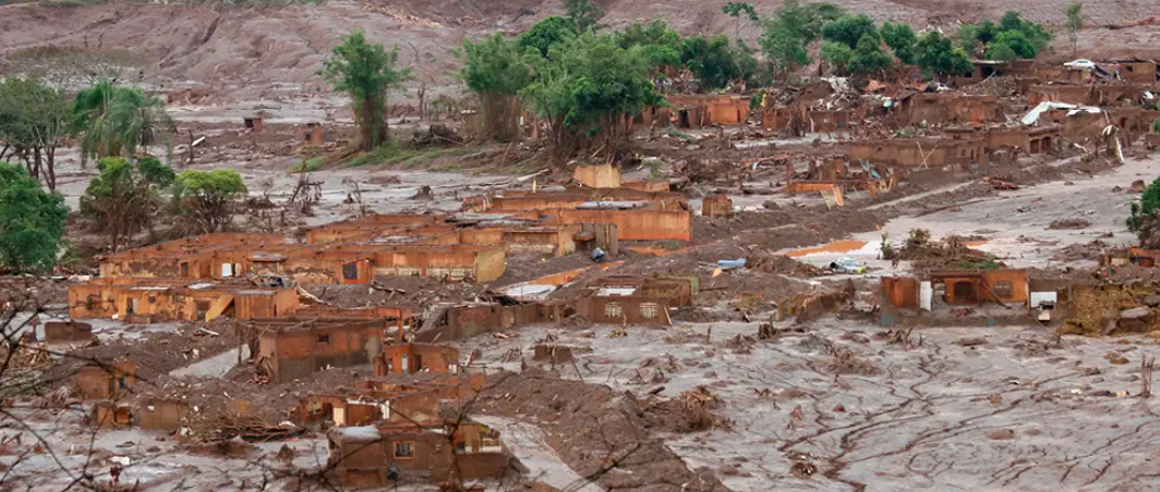 Vegetação de Mariana se adaptou para sobreviver aos rejeitos de mineração