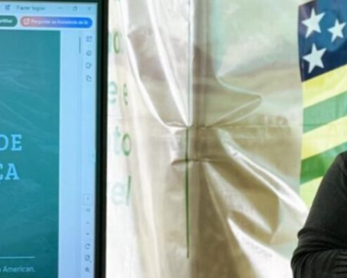 Operação de níquel da Anglo negociada com MMG pode ser suspensa