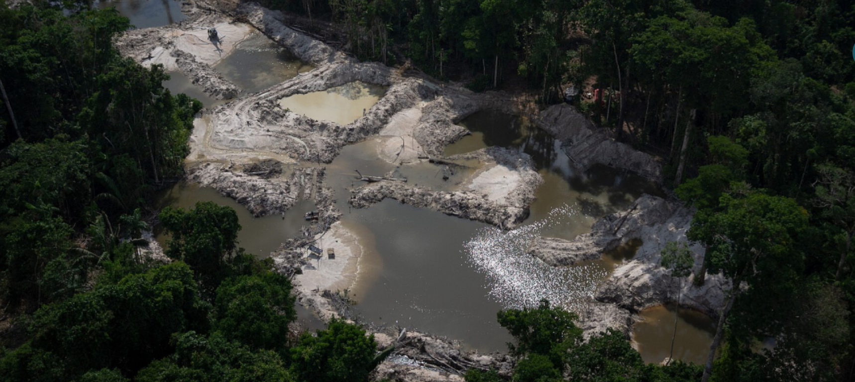 Mineração ilegal deixou vestígio de mercúrio 50 anos após exploração na Mata Atlântica