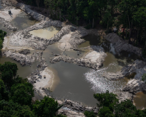 Mineração ilegal deixou vestígio de mercúrio 50 anos após exploração na Mata Atlântica