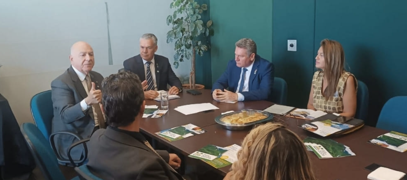 Projeto de minerais críticos ganha força no Congresso