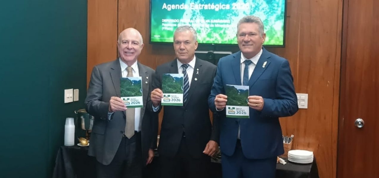 Frente Parlamentar da Mineração Sustentável lança agenda estratégica para 2026 com foco em minerais críticos e fertilizantes