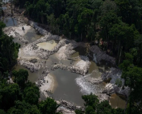 Mineração ilegal deixou vestígio de mercúrio 50 anos após exploração na Mata Atlântica