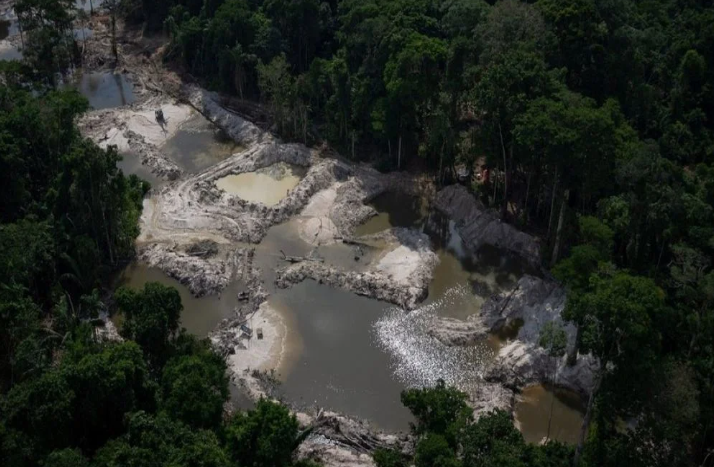 Mineração ilegal deixou vestígio de mercúrio 50 anos após exploração na Mata Atlântica