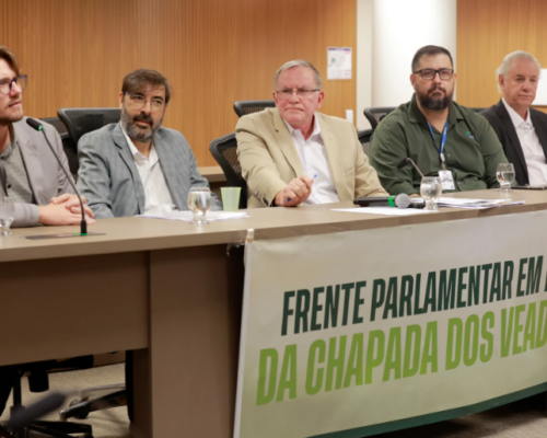 Audiência pública discute mineração na Chapada dos Veadeiros e revisão do plano de manejo da APA de Pouso Alto