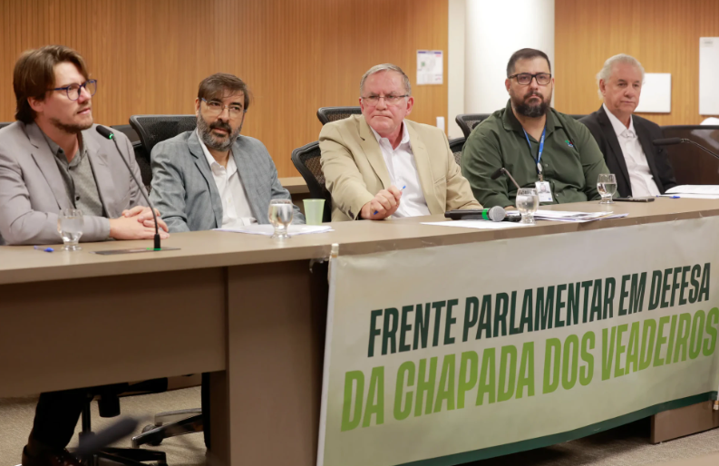 Audiência pública discute mineração na Chapada dos Veadeiros e revisão do plano de manejo da APA de Pouso Alto