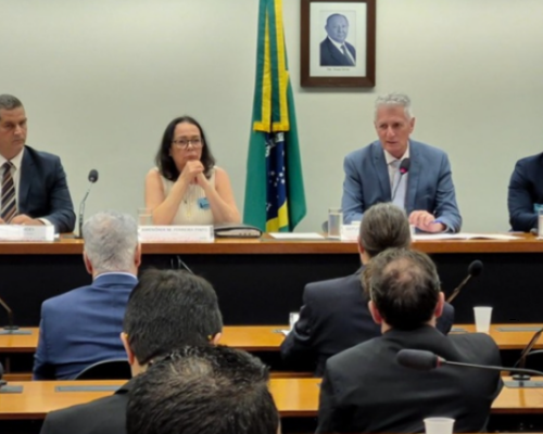 Audiência pública discute a Política Nacional de Terras Raras e Minerais Estratégicos