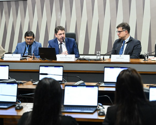 Debatedores pedem controle estatal menor em política de minerais críticos