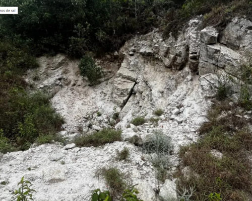 Estudo aponta que mineradoras ameaçam os Morros de Sal, ecossistema raro no ES