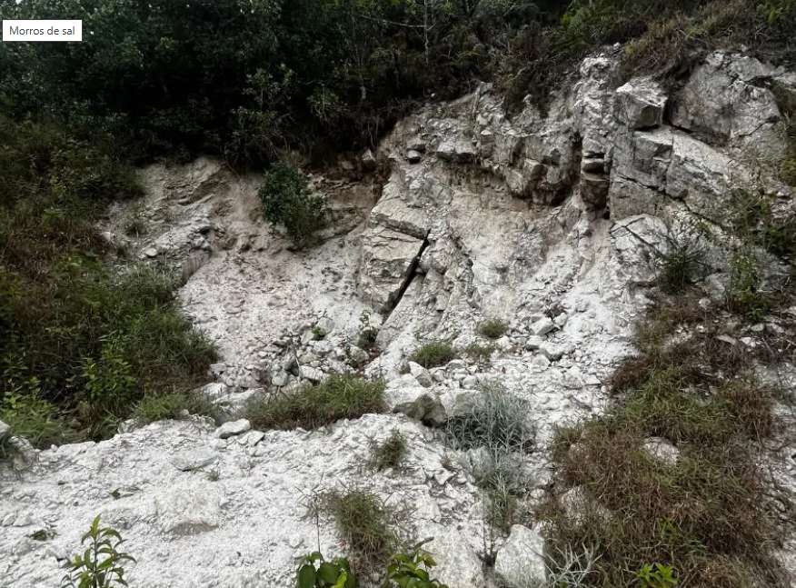 Estudo aponta que mineradoras ameaçam os Morros de Sal, ecossistema raro no ES