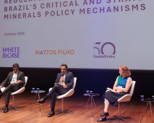 Brasil precisa de regras claras para atrair investimentos em minerais críticos