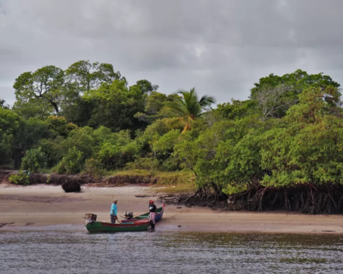 Projetos minerais que ameaçam reserva ambiental no sul da Bahia reúnem interesses de filho de Trump, mineradora australiana e empresa vinculada ao Banco Master
